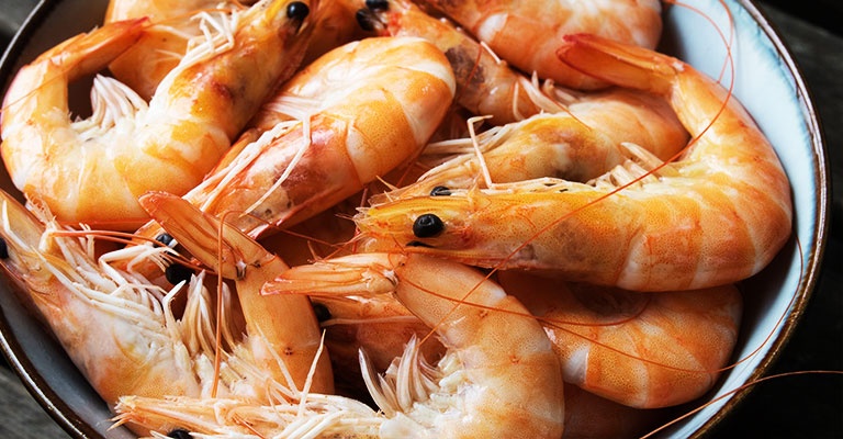 Shrimp