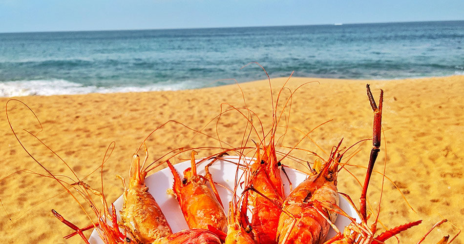 Prawns by the sea